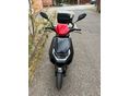 NIU NIU FQI 500 2025/6 - 2