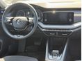 SKODA OCTAVIA 2023/6 - 6