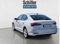 SKODA OCTAVIA 2021/3 - 3