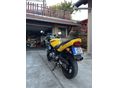 SUZUKI GS 500 F 2005/5 - 4