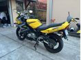 SUZUKI GS 500 F 2005/5 - 5