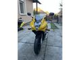 SUZUKI GS 500 F 2005/5 - 1
