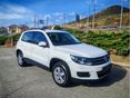 VOLKSWAGEN TIGUAN 2012/10 - 2