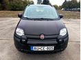 FIAT PANDA 2023/7 - 6