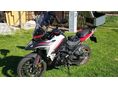 BENELLI TRK 702 X 2024 - 1