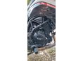 BENELLI TRK 702 X 2024 - 4