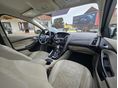 FORD FOCUS 2013 - 13