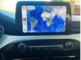 FORD FOCUS 2021/9 - 9