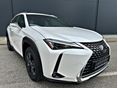 LEXUS UX 2022/8 - 1