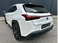 LEXUS UX 2022/8 - 4