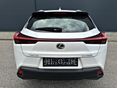 LEXUS UX 2022/8 - 5