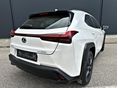 LEXUS UX 2022/8 - 6