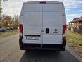 FIAT DUCATO 2020/3 - 3