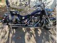 SUZUKI VL 1500 (INTRUDER) 2003 - 2