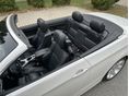 BMW 318 2011/4 - 10