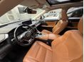 LEXUS RX 2020/1 - 7
