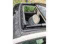 FIAT 500 2017/3 - 5