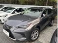 LEXUS NX 2019/10 - 1