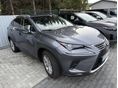 LEXUS NX 2019/10 - 3