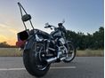 HARLEY-DAVIDSON SPORTSTER 1200 CUSTOM 2003/12 - 1