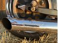 HARLEY-DAVIDSON SPORTSTER 1200 CUSTOM 2003/12 - 5
