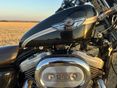HARLEY-DAVIDSON SPORTSTER 1200 CUSTOM 2003/12 - 6