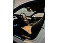 FORD MUSTANG 2017/1 - 8