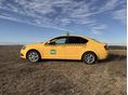 SKODA OCTAVIA 2018/7 - 2