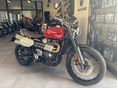 TRIUMPH SCRAMBLER 2026/7 - 1
