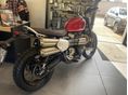TRIUMPH SCRAMBLER 2026/7 - 2