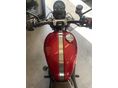 TRIUMPH SCRAMBLER 2026/7 - 3