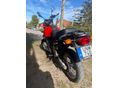 SUZUKI XF 650 (FREEWIND) 2001/5 - 3