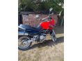 SUZUKI XF 650 (FREEWIND) 2001/5 - 9