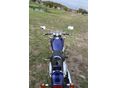 SUZUKI VZ 800 (MARAUDER) 2002/6 - 3
