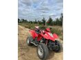 KYMCO KXR 250 2003 - 3