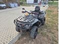 ODES PATCHCROSS 2021/9 - 3