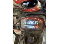 TAO HUNTER 2023 - 2