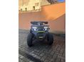 TAO HUNTER 2023 - 7