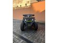 TAO HUNTER 2023 - 8