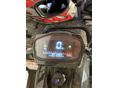 TAO HUNTER 2023 - 9