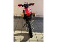 HONDA CRF 300 L 2024/1 - 5