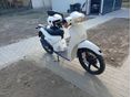 APRILIA SCARABEO 50 2000 - 5