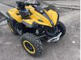 BOMBARDIER CAN-AM 2010 - 3