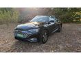 AUDI Q8 2023/2 - 1