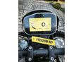 BENELLI LEONCINO 800 2025/4 - 16