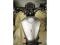BENELLI LEONCINO 800 2025/4 - 7