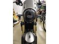 BENELLI LEONCINO 800 2025/4 - 8