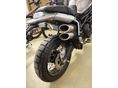 BENELLI LEONCINO 800 2025/4 - 9