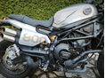 BENELLI LEONCINO 800 2025/4 - 10