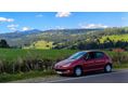 PEUGEOT 206 2009/1 - 1
